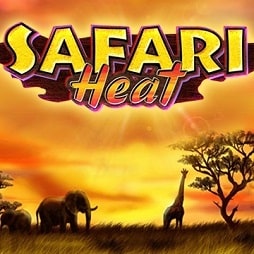 Игровой автомат Safari Heat