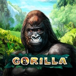 Игровой автомат Gorilla