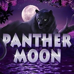 Игровой автомат Panther Moon